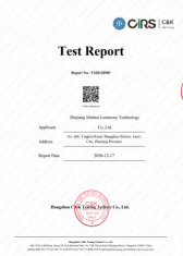 minhui luminous photoluminescent PIGMENT shvc CERTIFICATE